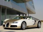 Bugatti Veyron 16.4 Gold Edition 2009 года